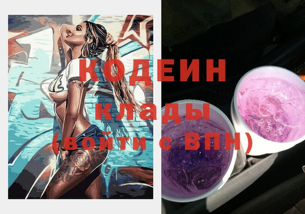 прущие грибы Бородино