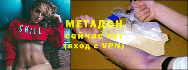 прущие грибы Бородино