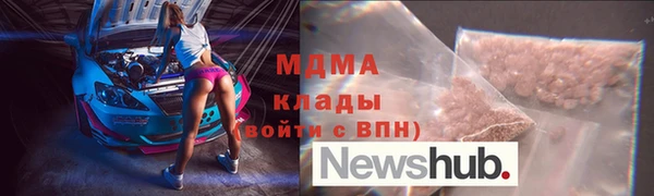 прущие грибы Бородино