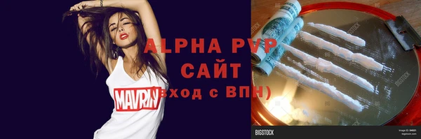 прущие грибы Бородино