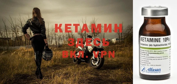 прущие грибы Бородино
