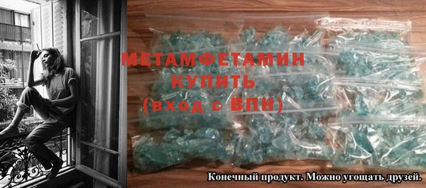 прущие грибы Бородино