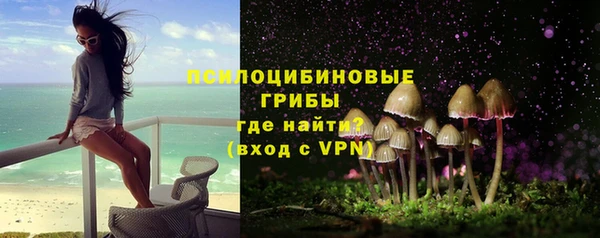прущая мука Верея