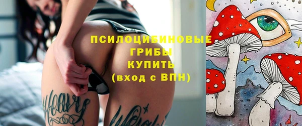 стафф Богородск